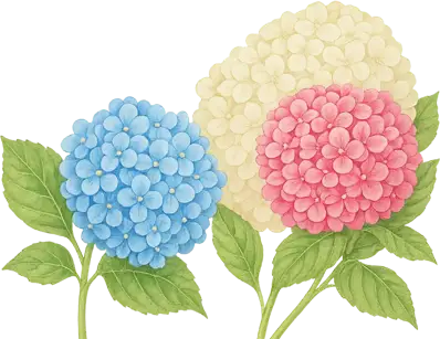 Las hortensias nacen de diversos colores según el terreno