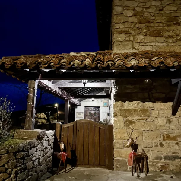 Celebraciones / Navidad