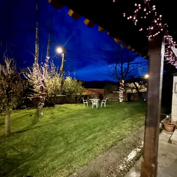 Celebraciones / Navidad