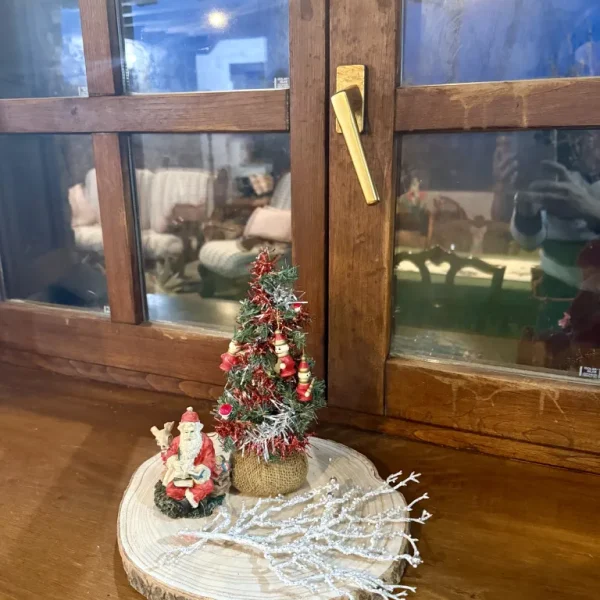 Celebraciones / Navidad